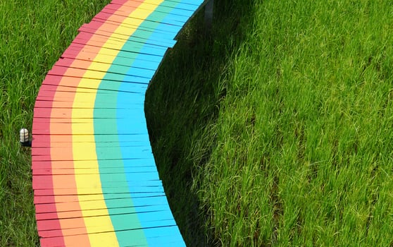 old wooden walkway painted in mordant colors. photo