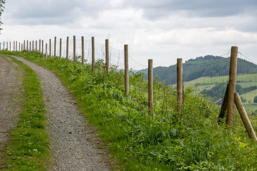 footpath with fence in the sun photo