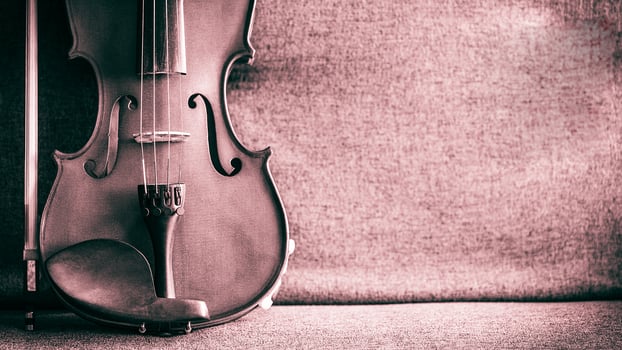 Violin vintage musical instrument of orchestra taken with natural light photo