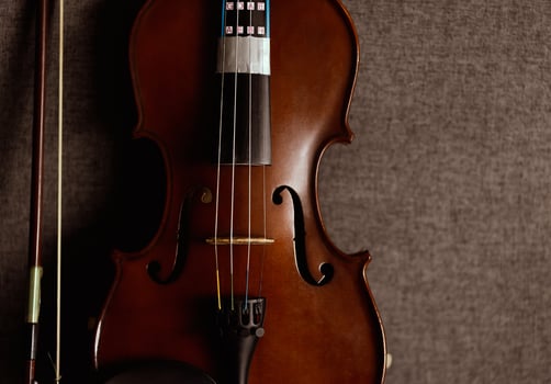 Violin vintage musical instrument of orchestra taken with natural light photo