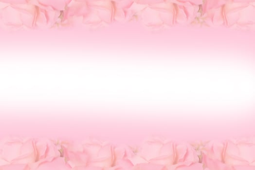 Blossoming soft pink flowers and blur use for postcard photo