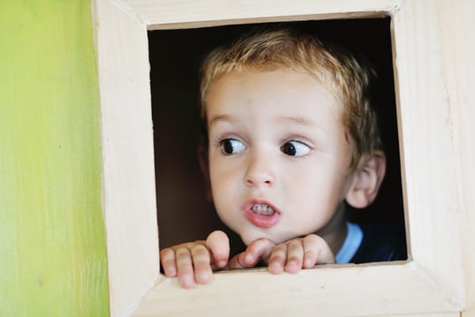 happy child in a window photo