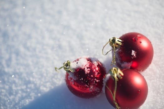 red christmas ball in fresh snow photo