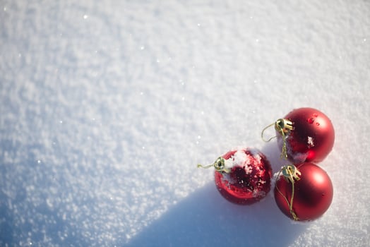 red christmas ball in fresh snow photo