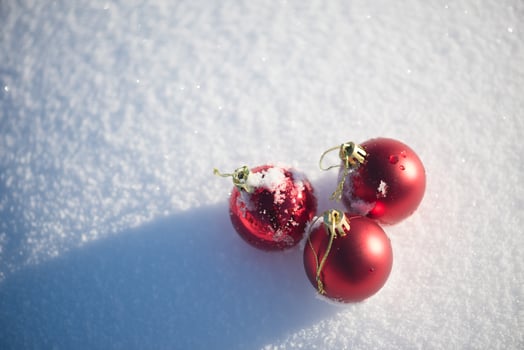 red christmas ball in fresh snow photo