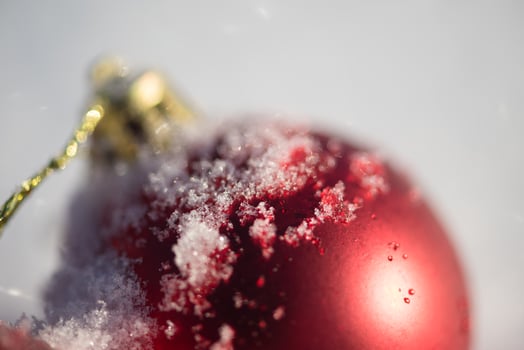 red christmas ball in fresh snow photo