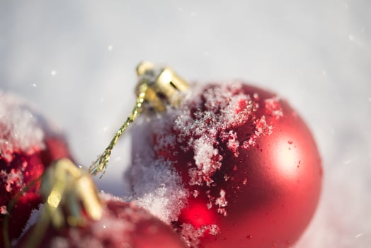 red christmas ball in fresh snow photo
