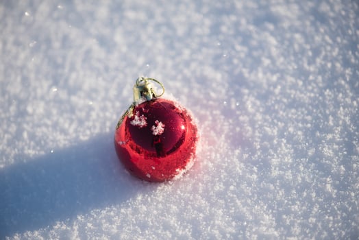 red christmas ball in fresh snow photo