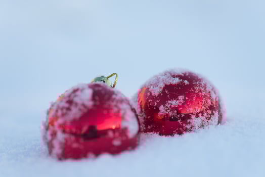 red christmas ball in fresh snow photo