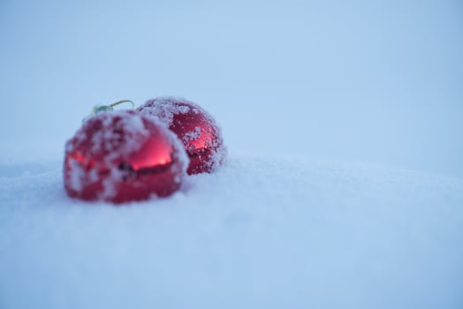 christmas ball in snow photo