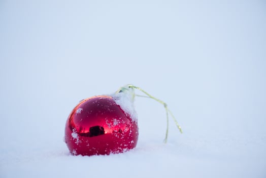 red christmas ball in fresh snow photo