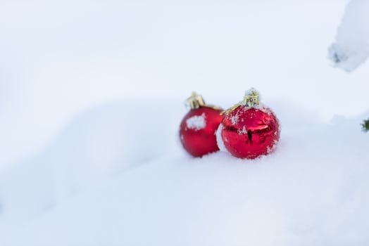 red christmas balls in fresh snow photo