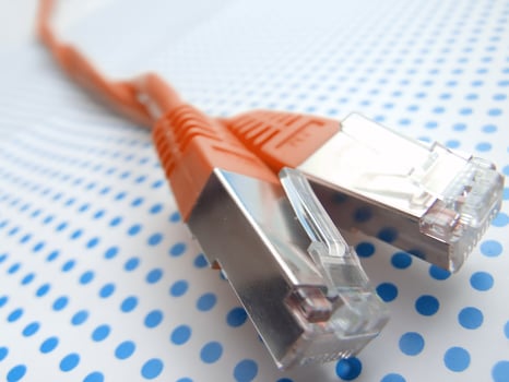 red ethernet cables macro photo