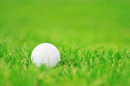 golf ball game photo