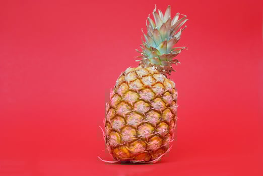 ananas on red background photo