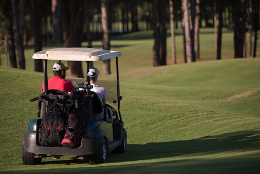 couple in buggy on golf course photo