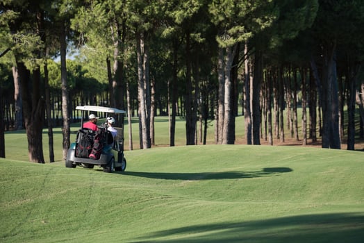 couple in buggy on golf course photo