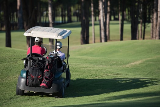 couple in buggy on golf course photo