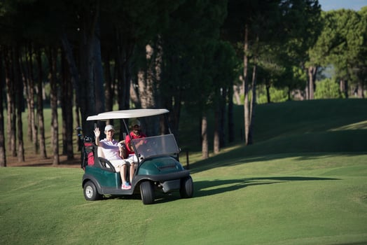 couple in buggy on golf course photo