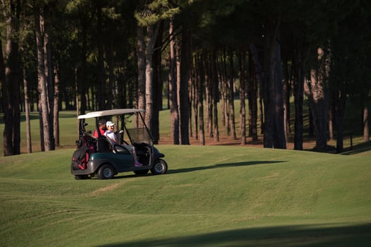 couple in buggy on golf course photo