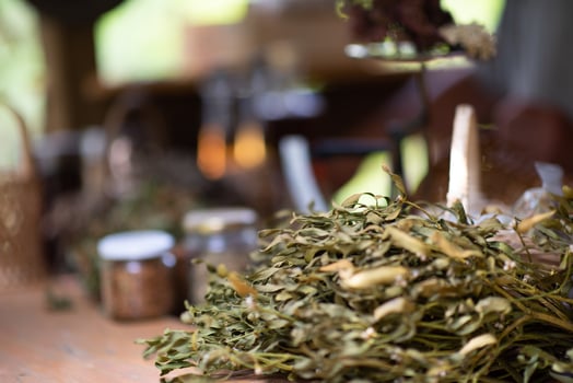 herbalist workshop view photo