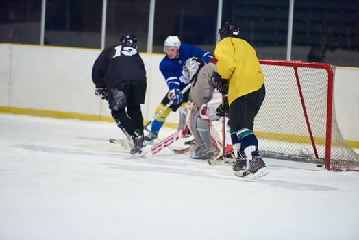 ice hockey goalkeeper photo