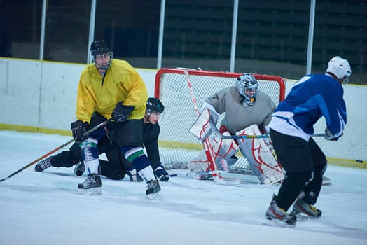 ice hockey goalkeeper photo
