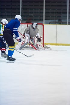 ice hockey player in action photo