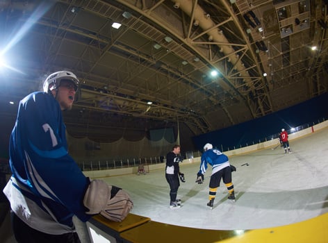 ice hockey players on bench photo
