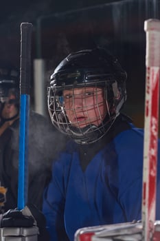 ice hockey players on bench photo