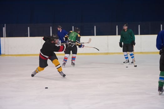 ice hockey player in action photo