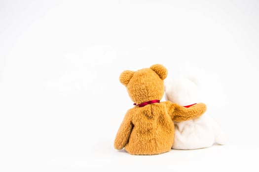 teddy bear on white background photo