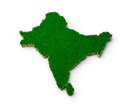 Subcontinent Map soil land geology cross section with green grass countries India, Pakistan, Nepal, Bhutan, Bangladesh, Sri Lanka, and the Maldives. 3d illustration photo