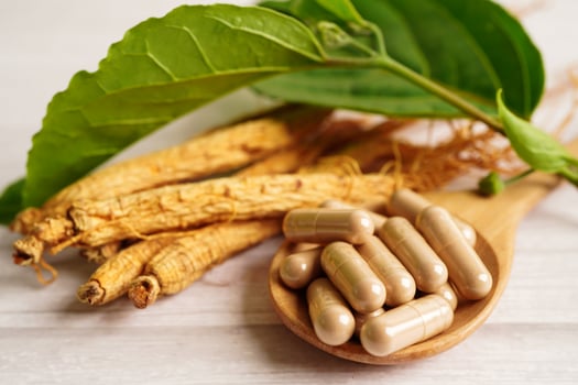 Ginseng, dried vegetable herb. Healthy food famous export food in Korea country. photo