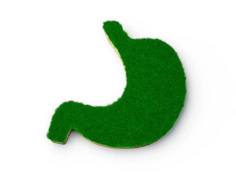 Healthy stomach Top view Stomach shape green grass and piece of soil land. Stomach 3d illustration photo