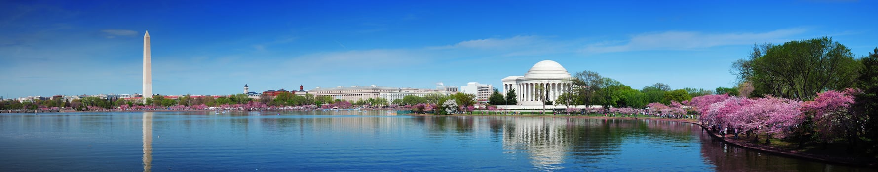 Washington DC cityscape photo