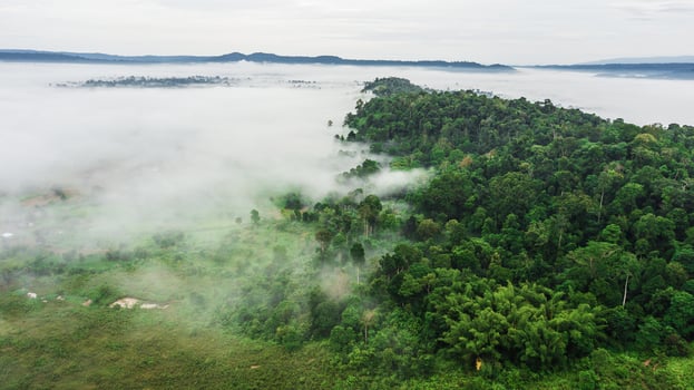 Mountains with trees and fog in thailand photo