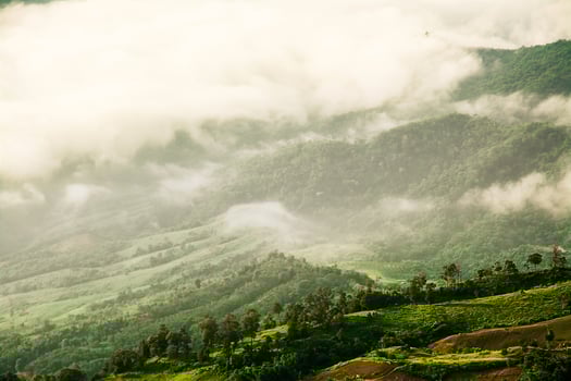 Morning Mist with Mountain ,sea of mis photo