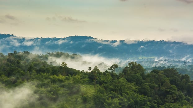 Mountains with trees and fog in thailand photo