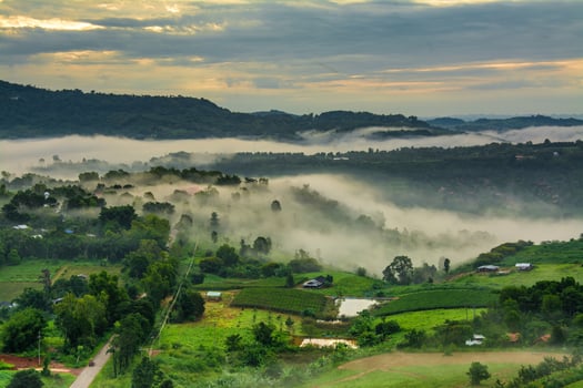 Mountains with trees and fog in thailand photo