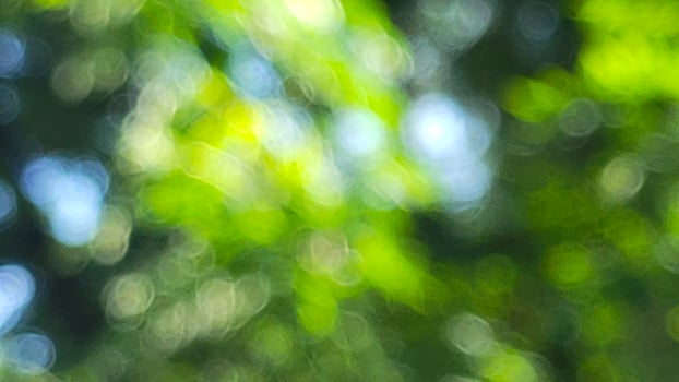 Bokeh abstract blurred nature trees green refreshing background suitable for text fill graphic design decorative agriculture photo