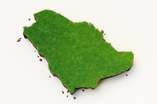 Saudi Arabia Map Grass and ground texture 3d illustration SA photo