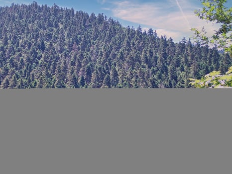 View of Kalavryta landscape in Greece photo