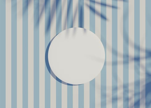 3d render top view of white blank cylinder frame for mock up and display products with shadows of palm leaves and white blue background. photo