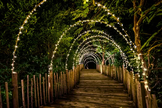 Lighting line hang on to the tree decor on to cave concept on the wood terrace walking way with darken around. photo
