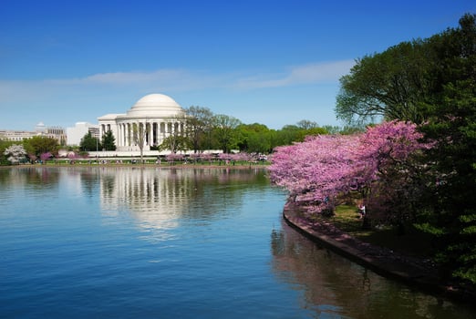 Washington DC view photo