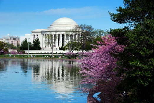 Washington DC view photo