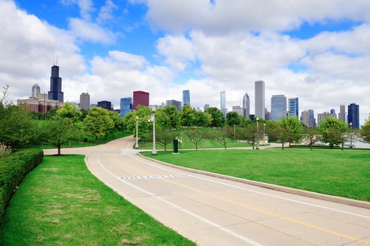 Chicago skyline over park photo