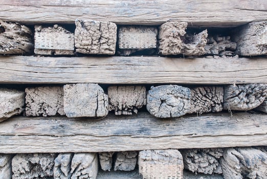 Wood grain texture for background use photo