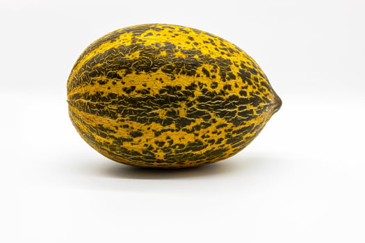 Melon isolated on white background photo